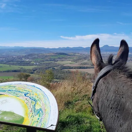 Летний дом Maison Aux Lions *