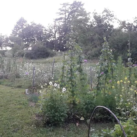 Maison Aux Lions Летний дом Chauriat