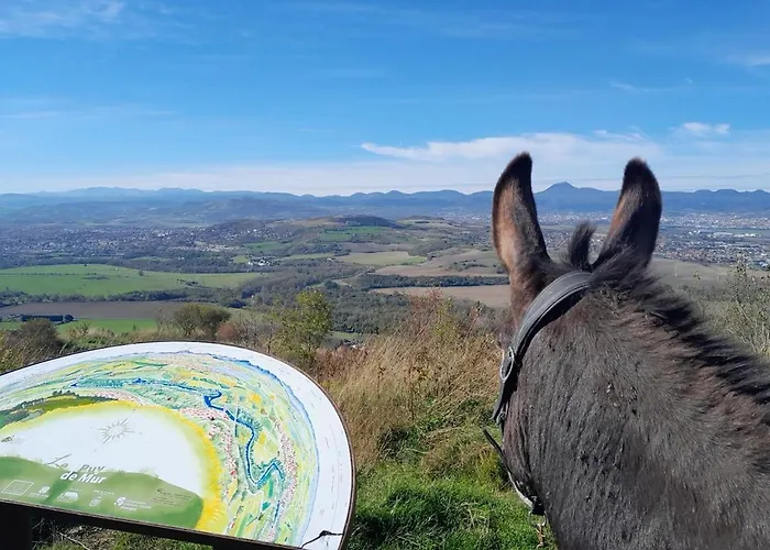 Gospodarstwo wiejskie Maison Aux Lions *